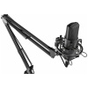 Микрофон RITMIX RDM-169 Black