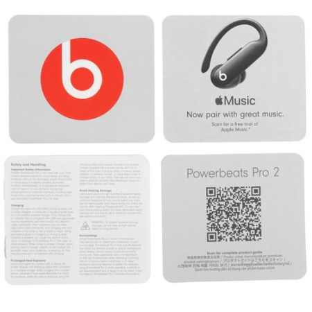 Наушники TWS Beats Powerbeats Pro 2 серый