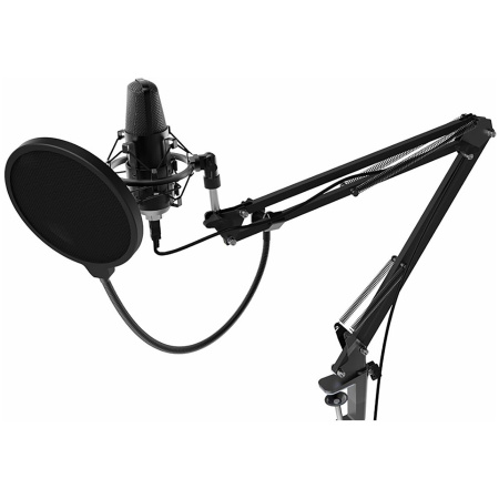 Микрофон RITMIX RDM-169 Black