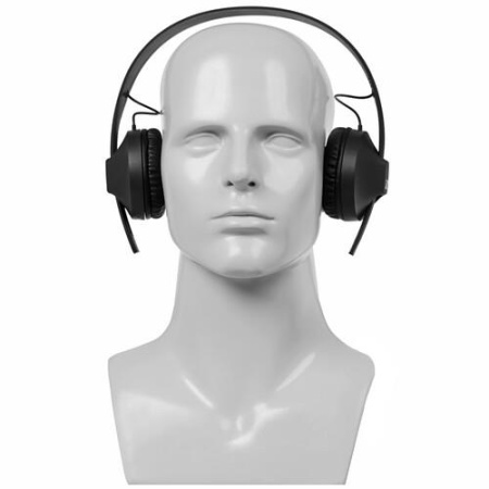Беспроводные наушники Sennheiser HD 250 BT черный