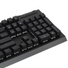 Клавиатура проводная Razer BlackWidow V4 X