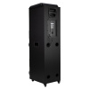 Колонка ELTRONIC 30-56 Crazy Box 2500