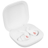 Наушники TWS Beats Fit Pro белый