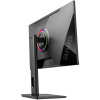 Монитор AIWA MD2510 Black